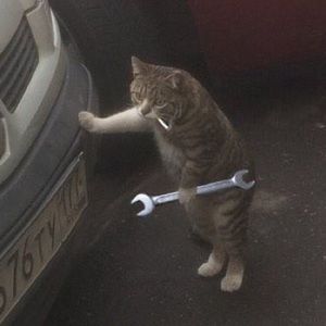 Meet your Posher, Aaron